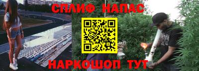 дурь Кандалакша