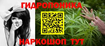 дурь Кандалакша