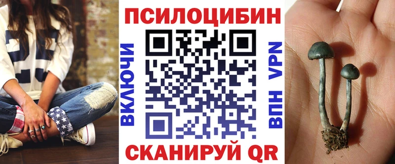 Псилоцибиновые грибы мицелий  Краснодар 