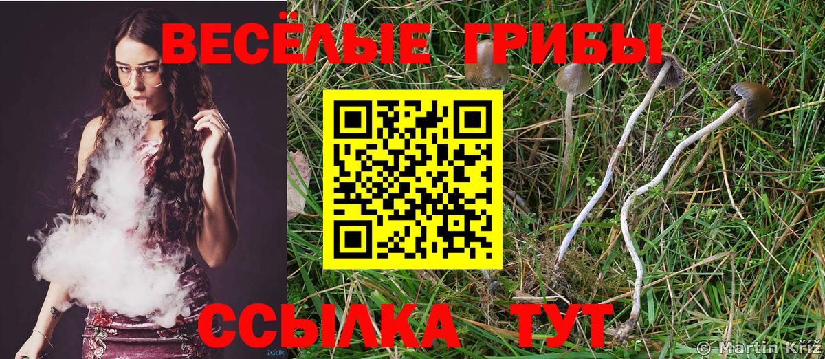 Псилоцибиновые грибы ЛСД  Вход с VPN  Краснодар  где продают   Псилоцибиновые грибы ЛСД 