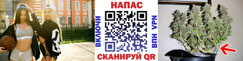 Конопля SATIVA & INDICA  мега tor  Краснодар  даркнет сайт 