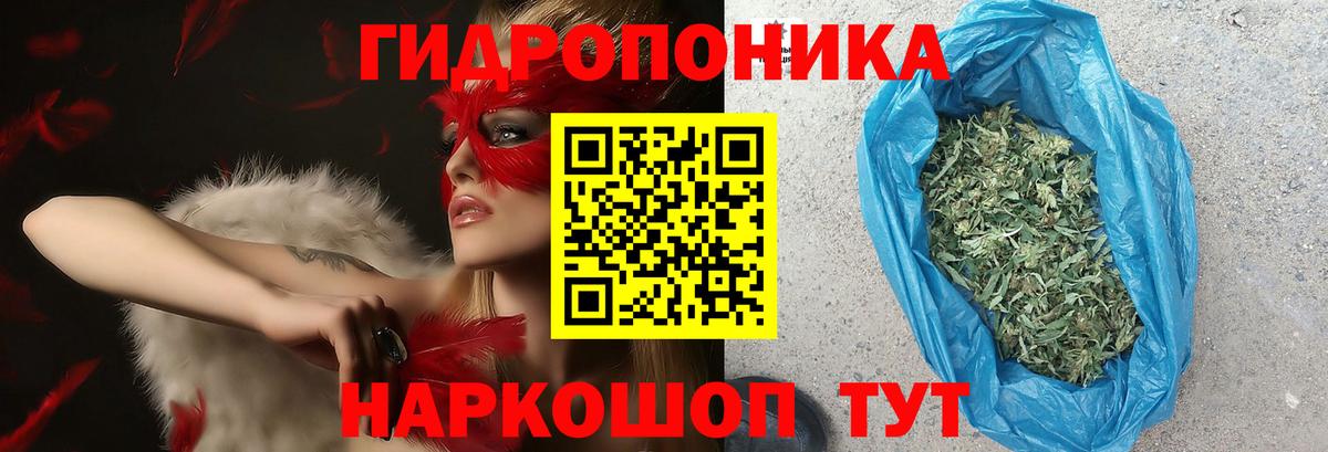 Каннабис сатива Краснодар